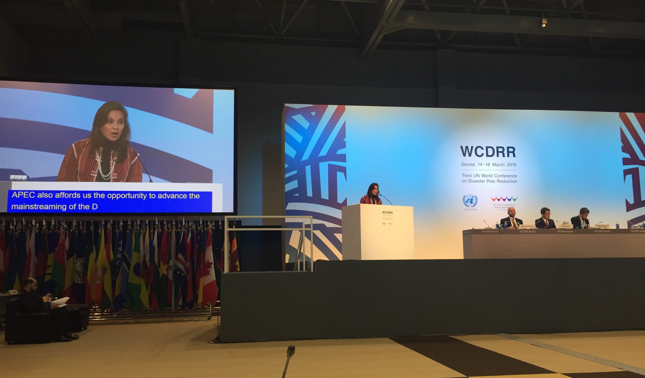 Legarda Delivers PHL Statement at 3rd WCDRR