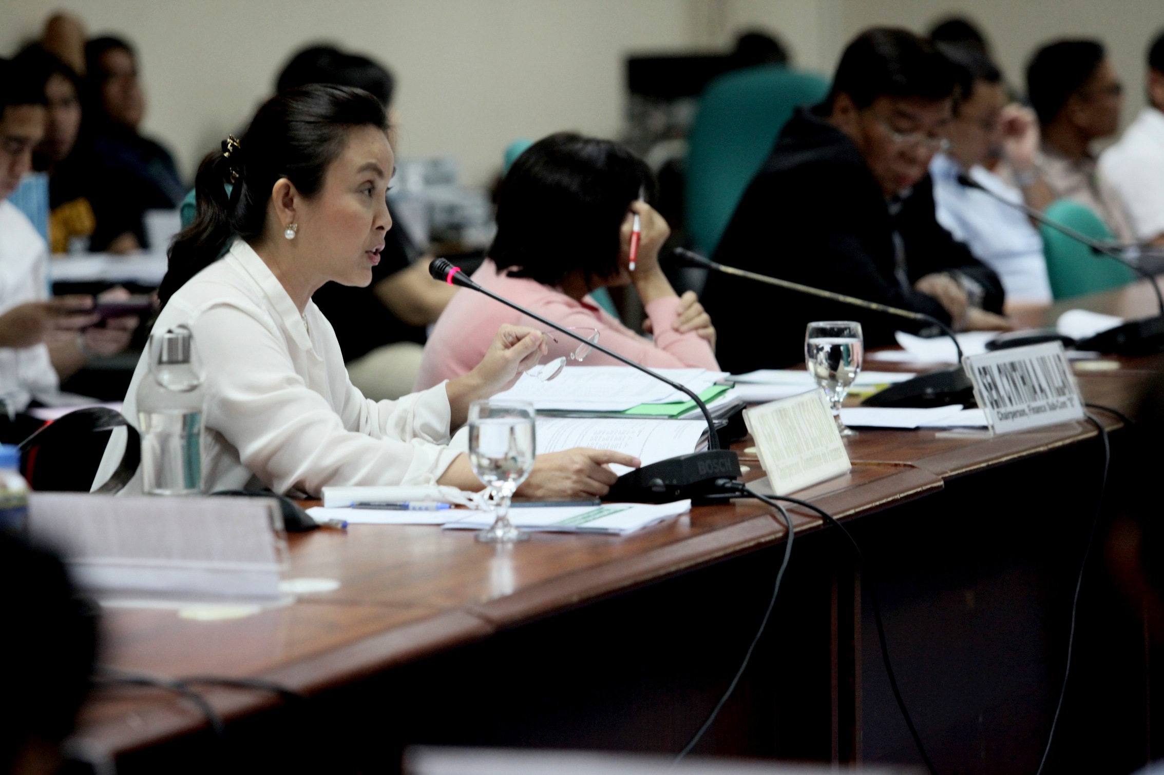 Senator Legarda at DA Budget Hearing