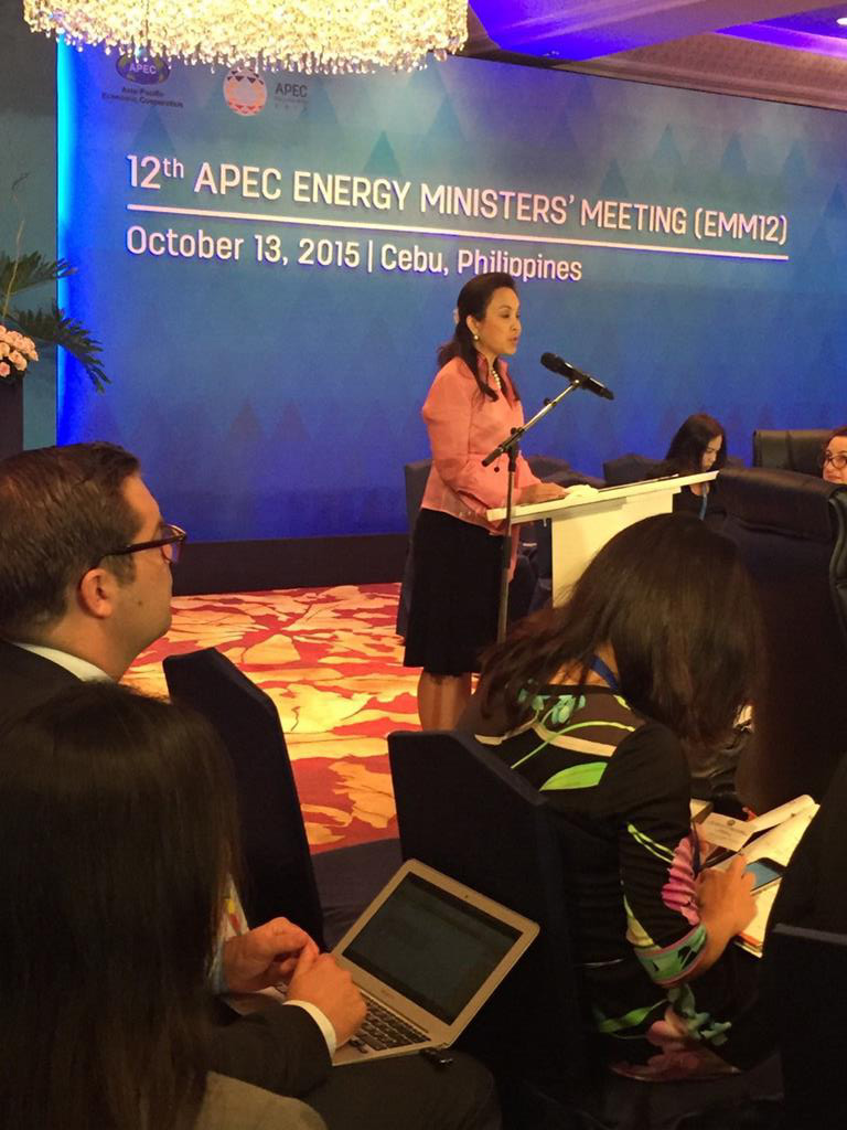 Senator Legarda at 12th APEC Energy Ministers’ Meeting