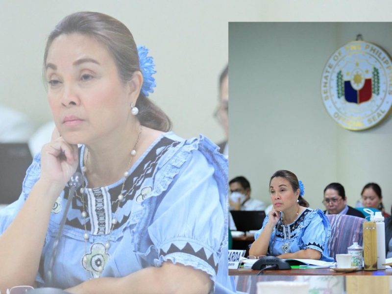 Budget Hearing of the Department of Budget and Management