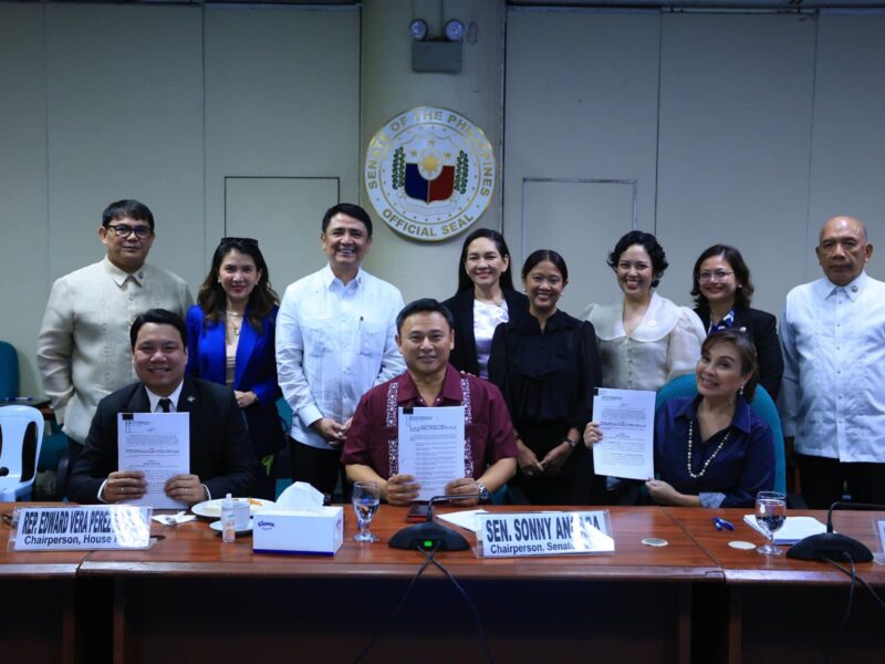 Approval of bicam report of the New Government Procurement Act