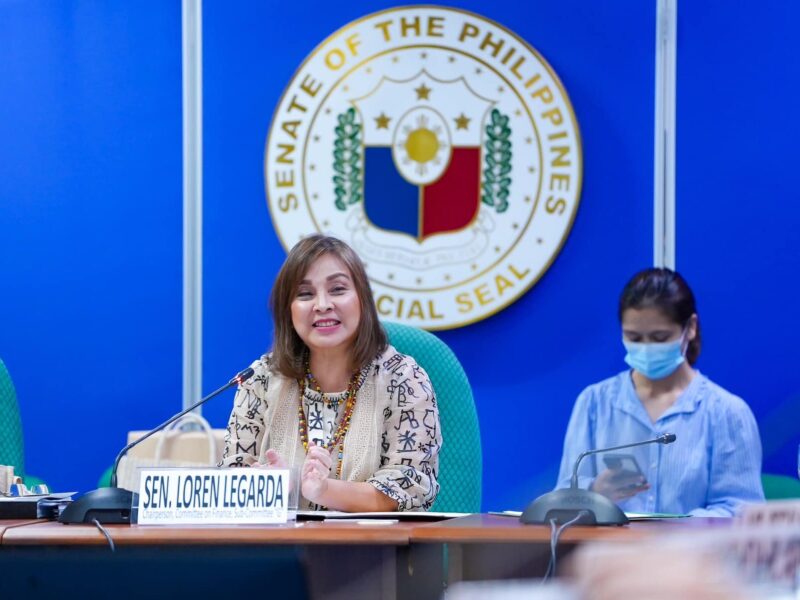 Hearing of the Proposed 2025 Budget of the Cultural Agencies (August 29, 2024)