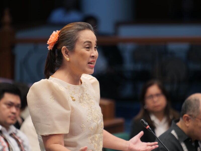 Deliberations on the Proposed FY 2025 budget of the Cultural Agencies (November 14, 2024)