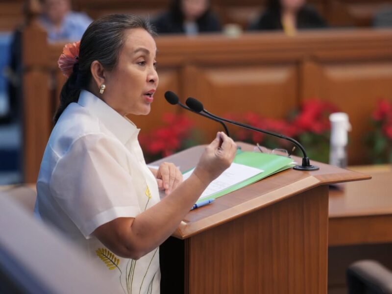 Deliberations on the Proposed FY 2025 budget of the Department of Social Welfare and Development (November 19, 2024)