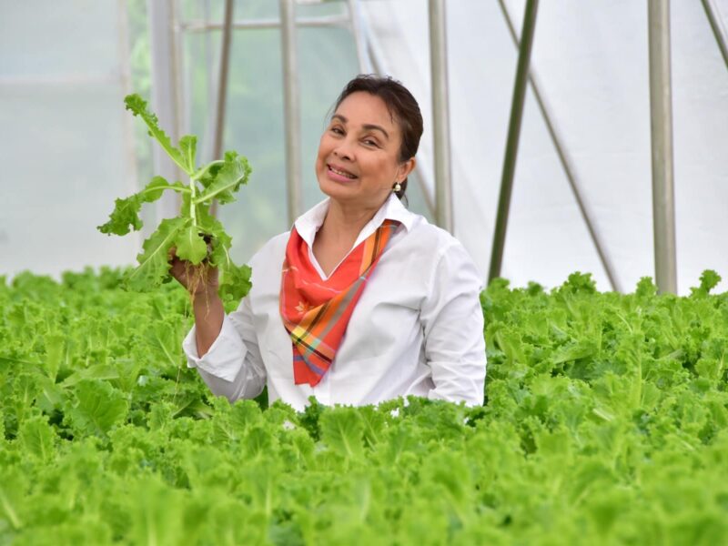 Turnover Ceremony ng Smart Green House sa Libertad, Antique (Enero 10, 2025)